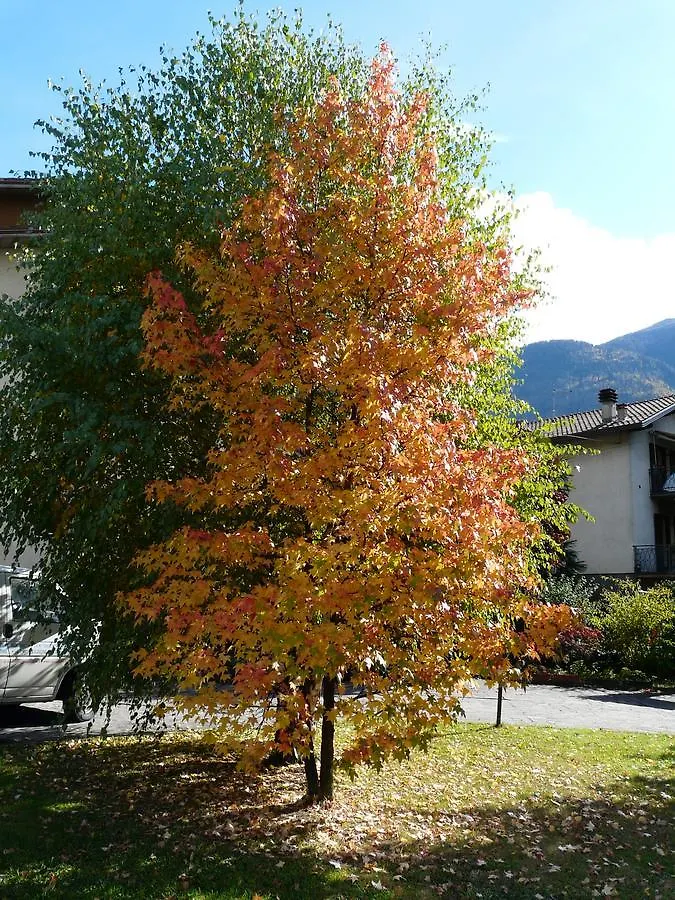 Bed and Breakfast La Casa Di Clara Esine