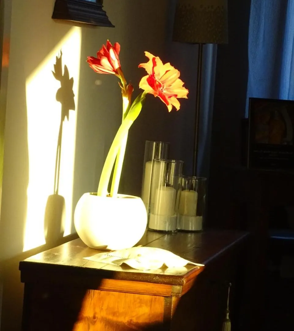 Bed and Breakfast La Casa Di Clara Esine